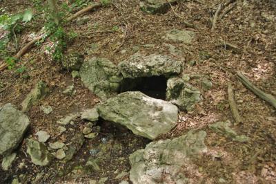 Прикрепленное изображение: IMGP6598.jpg